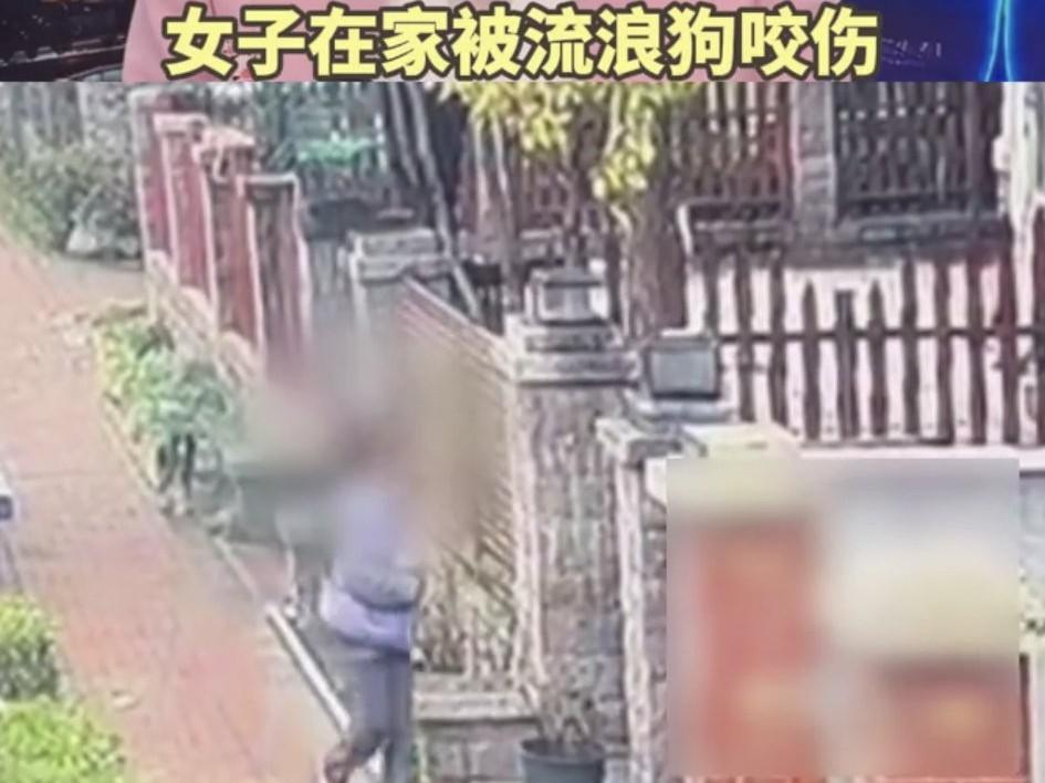 河南焦作，一女子回家时被一只流浪狗尾随，且狗溜到女子家后，趁其不备咬伤了女的腿。