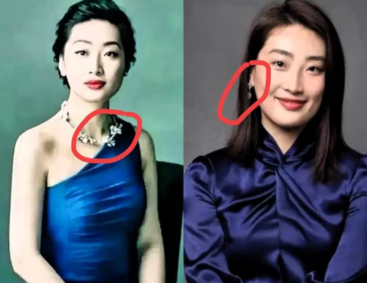 大公主试管生子一事引发诸多争议，有人认为她是“白眼狼”，触犯家规不嫁