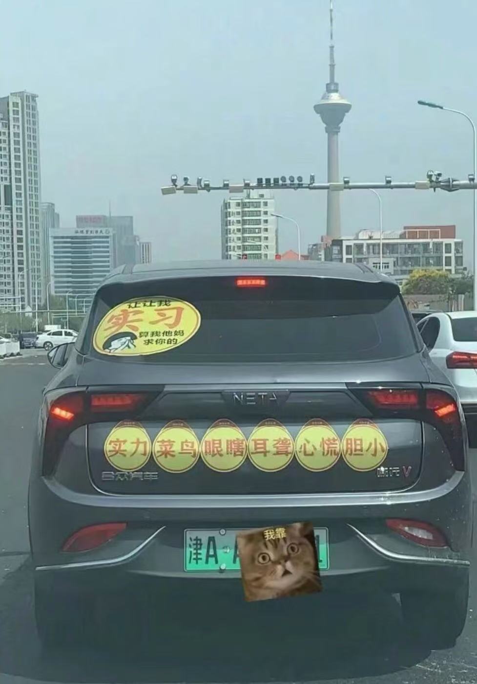 车主已完全履行了告知责任