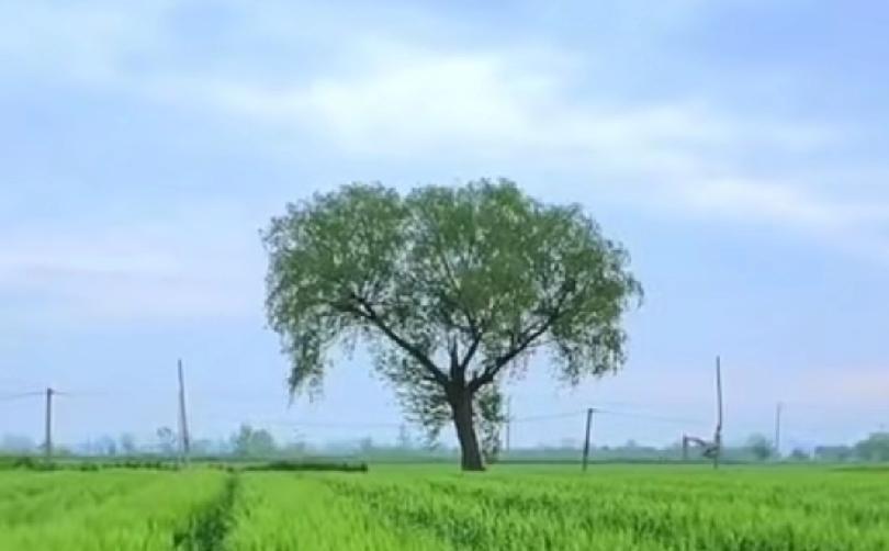 说了都不会相信，身边的男女，有很多都是处于情人关系之中。能够发展成为情人关系的，