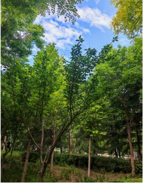男女之间压根就是没有爱情，全部都是底层存量的博弈。所谓爱不过就打着幌子的合法勒索