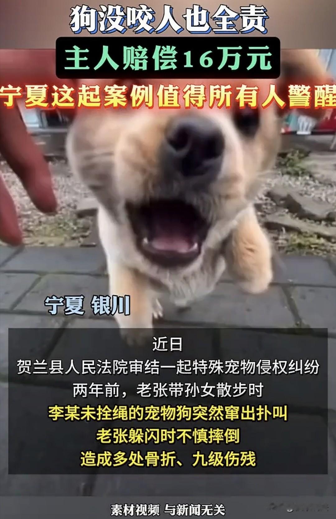 “看似狗患，实则人祸！”宁夏银川，老人领着年幼孙女散步路过一别墅门口，突然窜出一