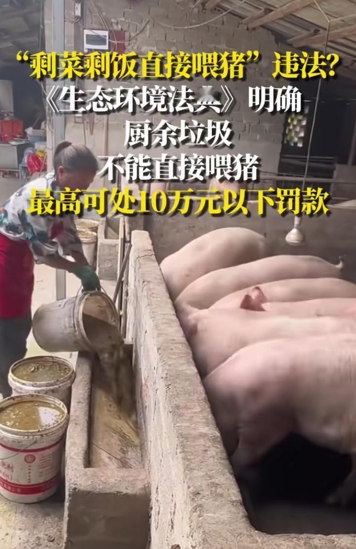 猪:吃了几十年潲水，居然不让吃了喂猪的注意了！以后，剩菜剩
