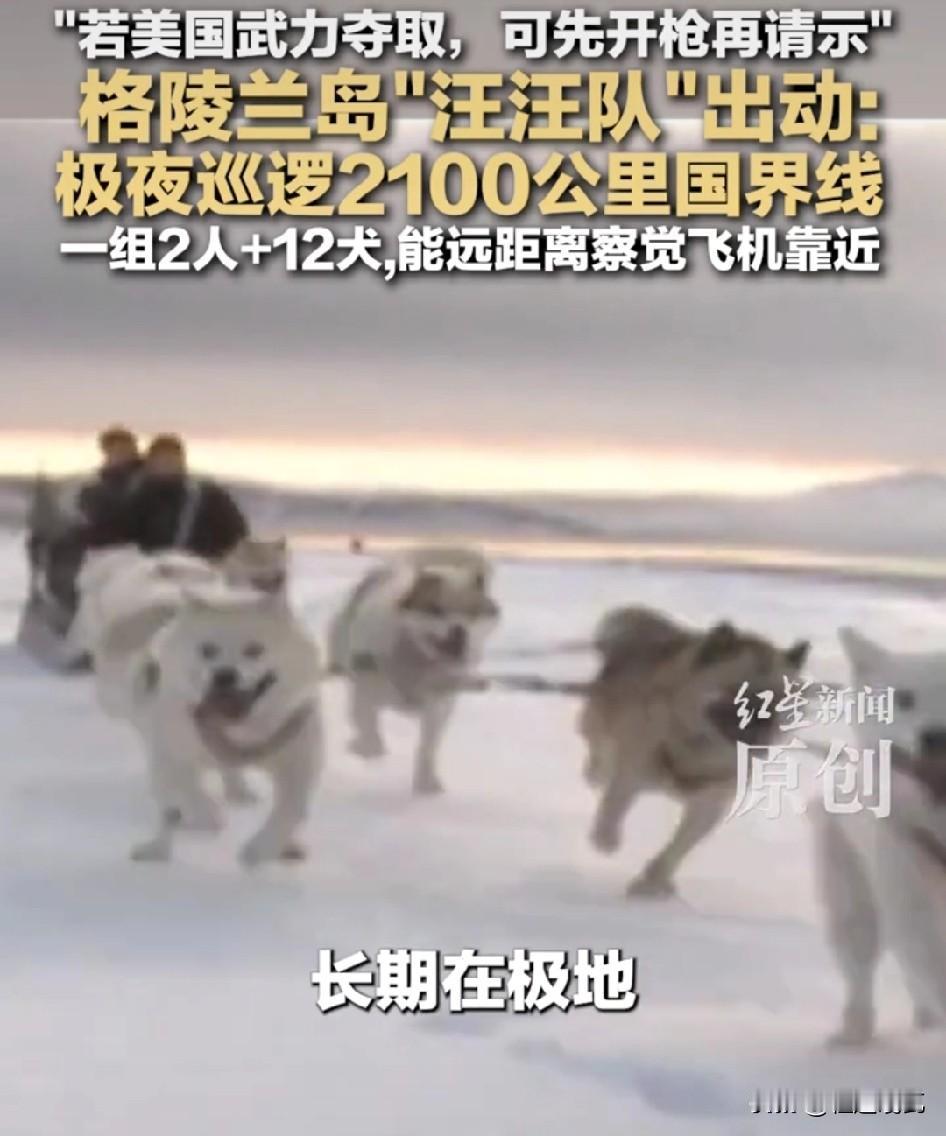 丹麦首相的表现还是很强硬的，直接警告说，“如果美国敢武力夺取，士兵可以先开枪再请