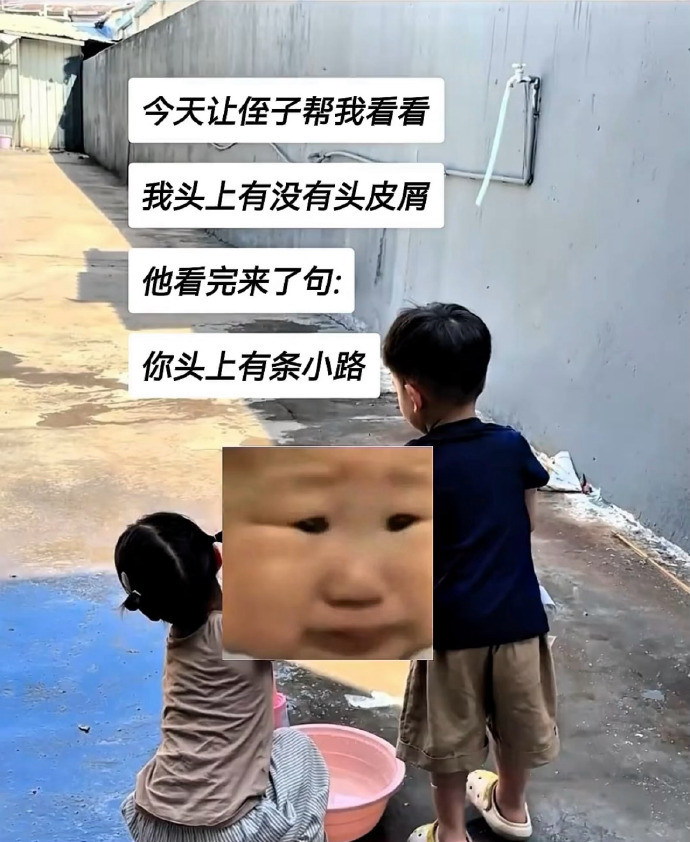 新脑子的攻击力真的强
