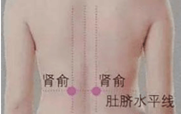 肾俞穴的精要解析-穴位基础知识