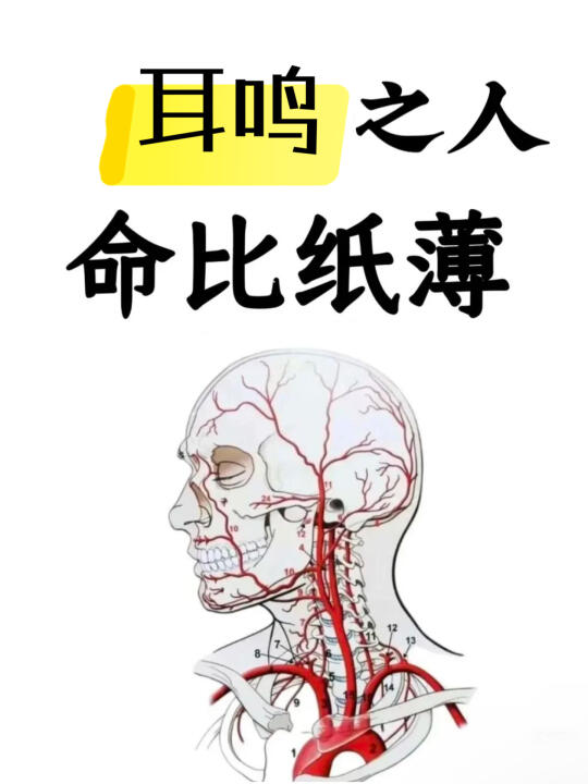 中医：有耳鸣的请坚持一个月 	 中医认为，耳鸣的发生与人体脏腑功能失调...