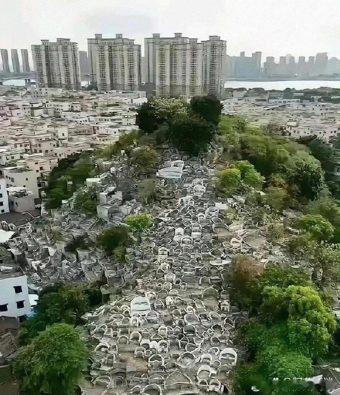 这就是多年后土葬的后果！！！​​​