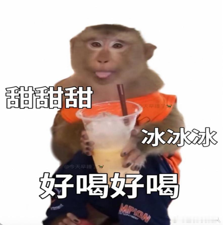 果茶成五一假期出游外卖团宠年轻人现在都流行喝果茶，清爽、健康，身体负担更低！有