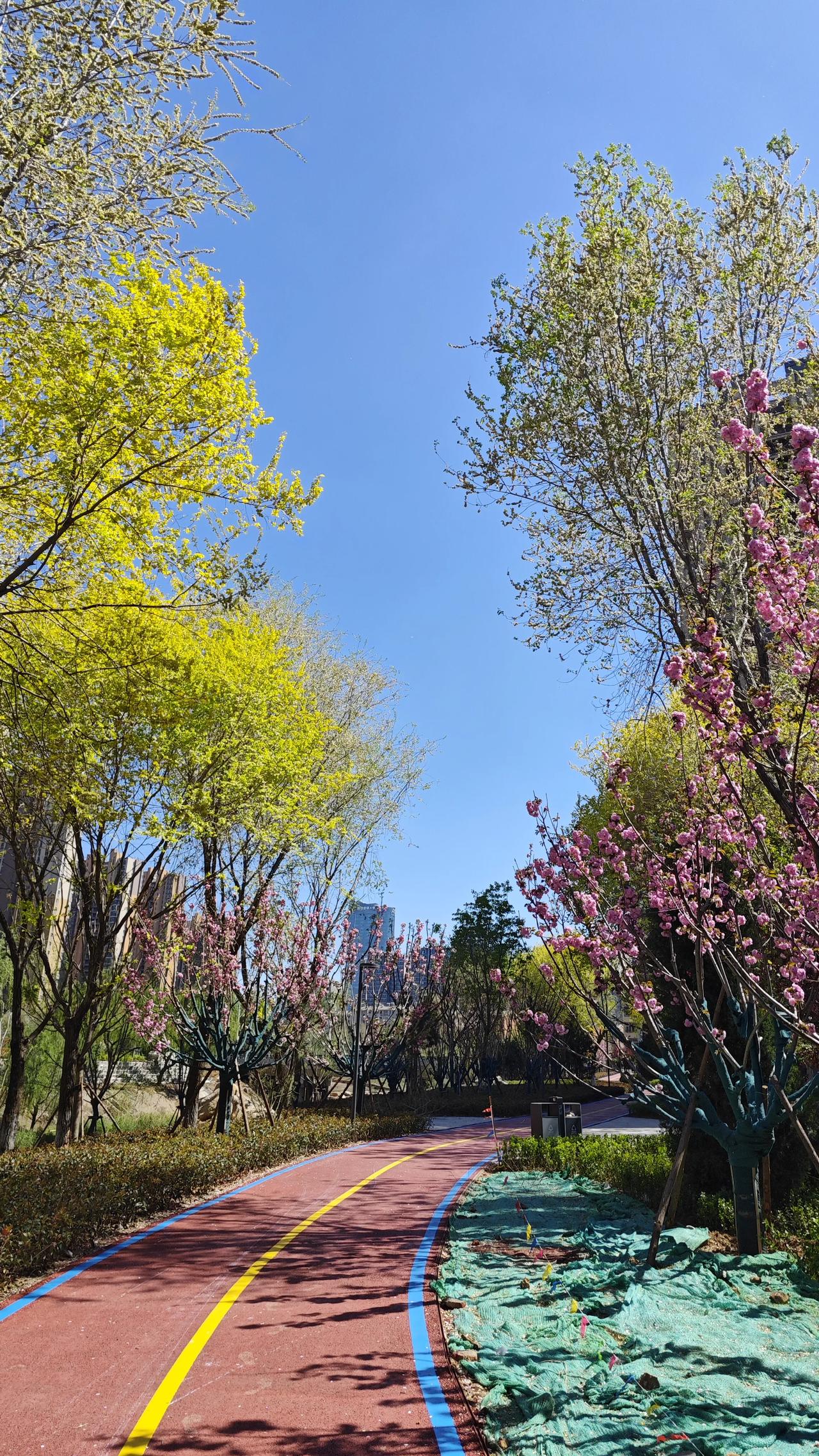 中医有句话叫“百病生于气”。以前不信，觉得气死人只是夸张。后来看到一个亲戚的经历