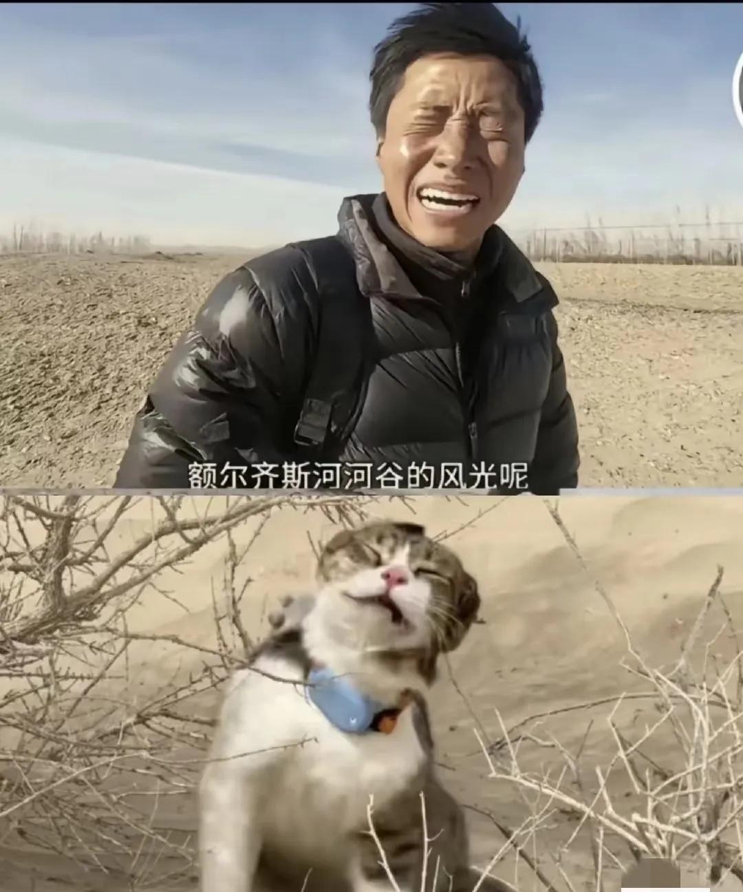 悟空，祝<em>赵朔</em>父亲节快乐。悟空你离开我们60天了，大家都非常想念你