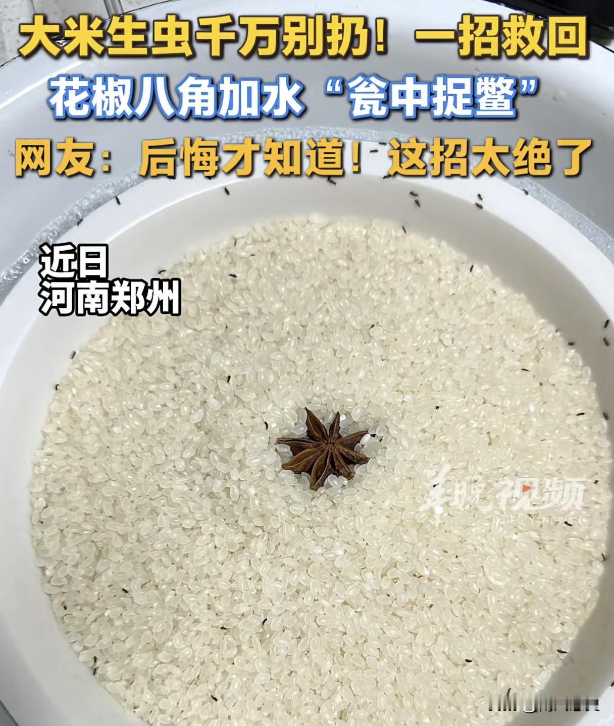 90%的人都不知道，为什么大米放久了就会生出“米虫”，答案可能超出你的认知，一位