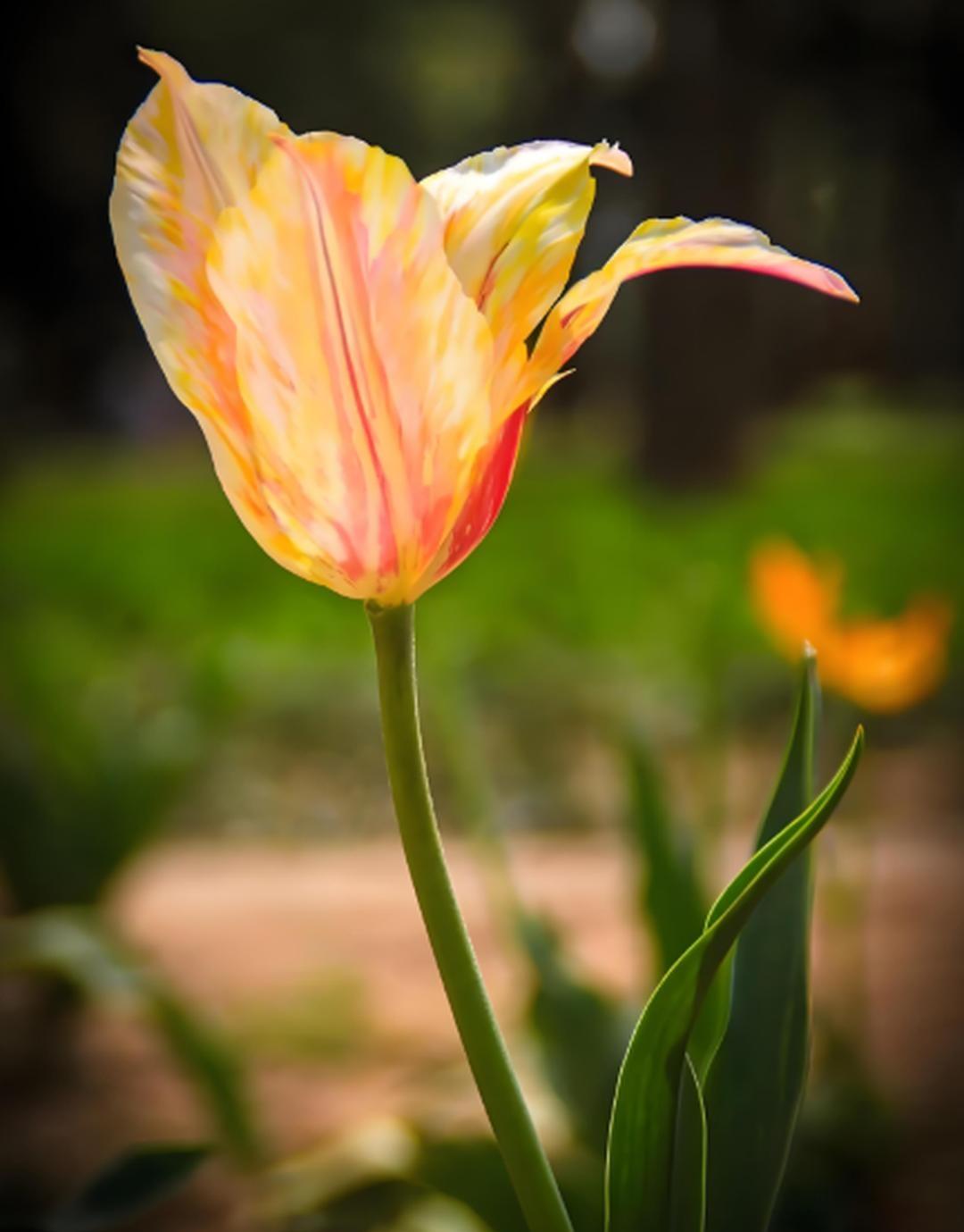 高二那年，我们班一个同学家里遭遇了变故，交不起学费了，准备要退学，班主任给这个同