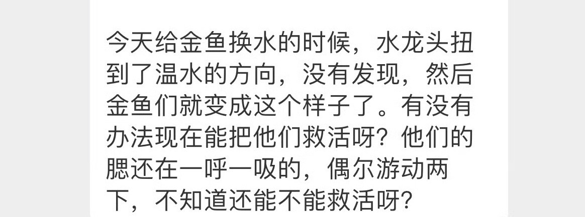 金鱼被水烫了还能救活吗❓[哭哭]