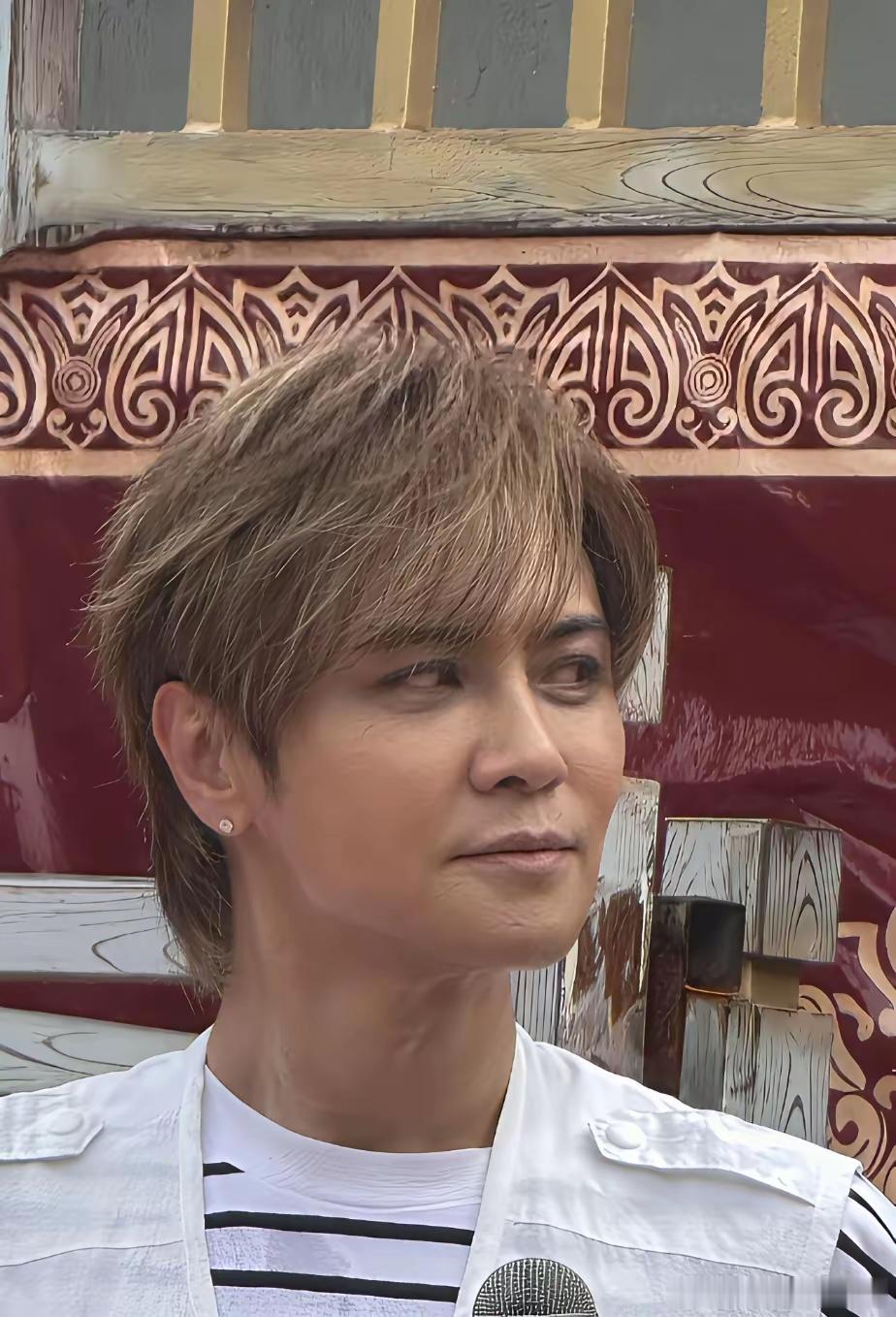 46岁的罗志祥已经不适合以前的那种装扮了，现在的他上了年纪人也瘦了，再带着耳钉染