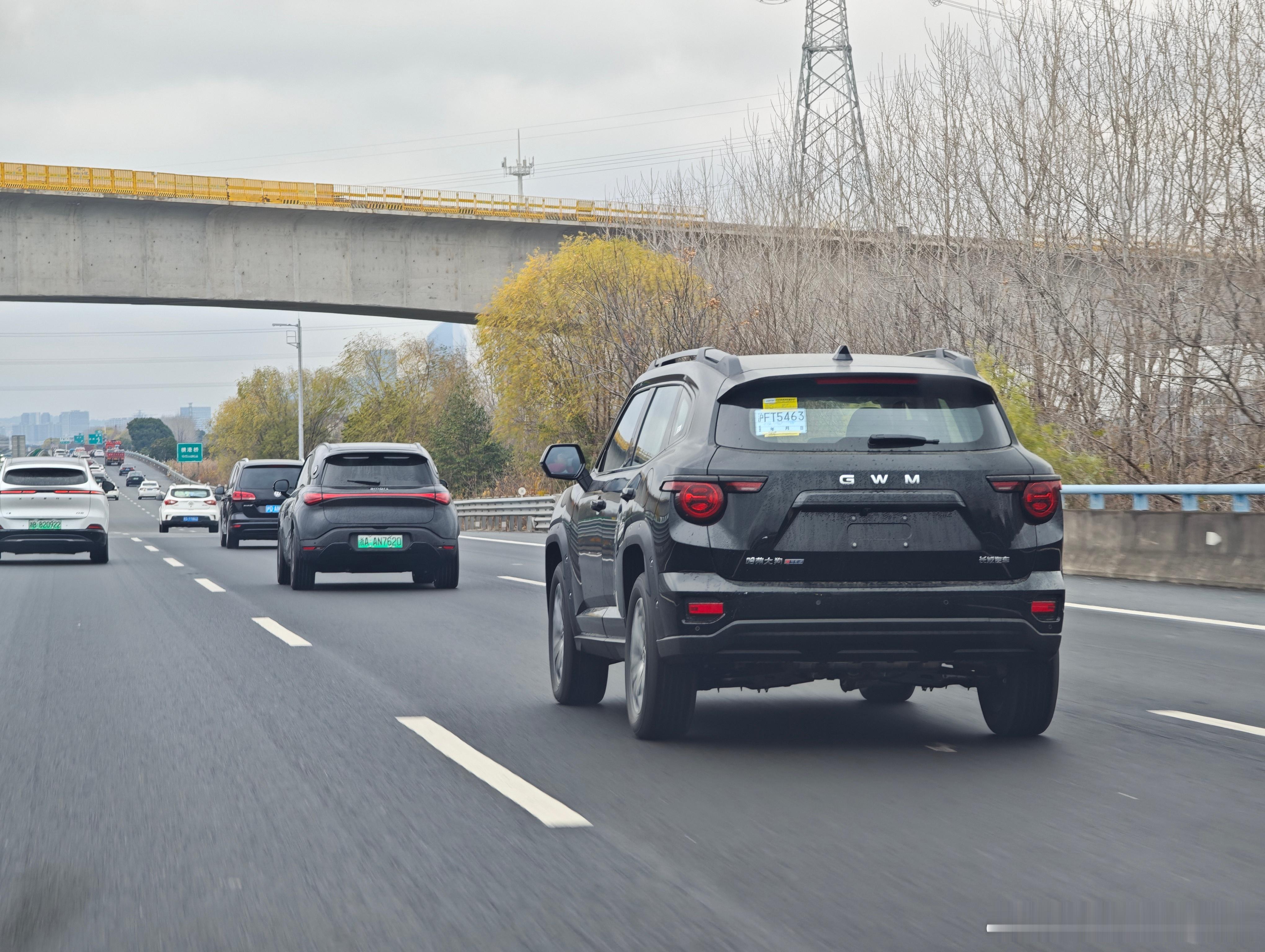 路遇一辆哈弗大狗PLUS车后的LOGO已经改成了更加国际化的GWMGreatW