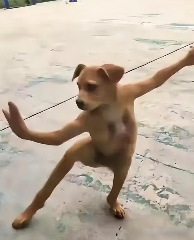 场均八十二分扯碎了辽宁男篮的底裤，赵继伟拖着快跑断的双腿在场上大口倒气。管理层彻