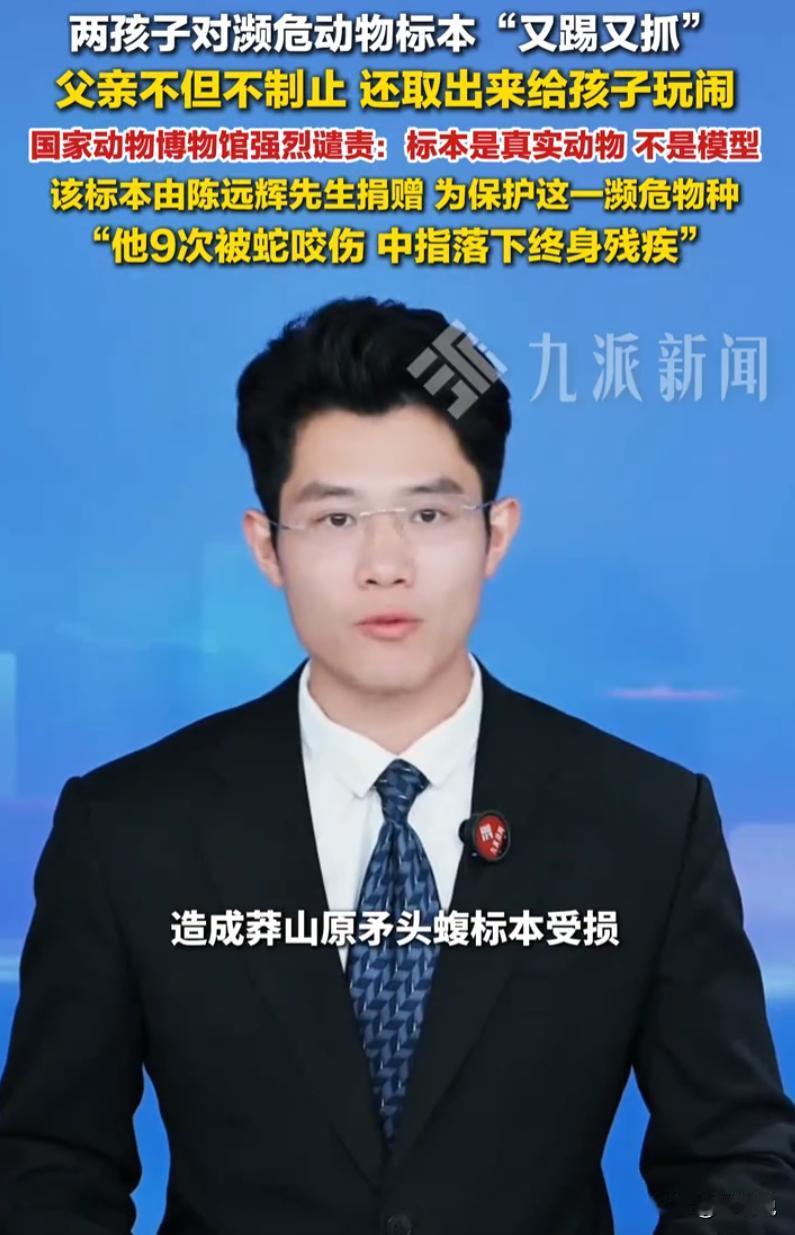 “这哪是熊孩子，分明是熊家长！”北京国家动物博物馆，濒危动物展厅内，两个孩子围着
