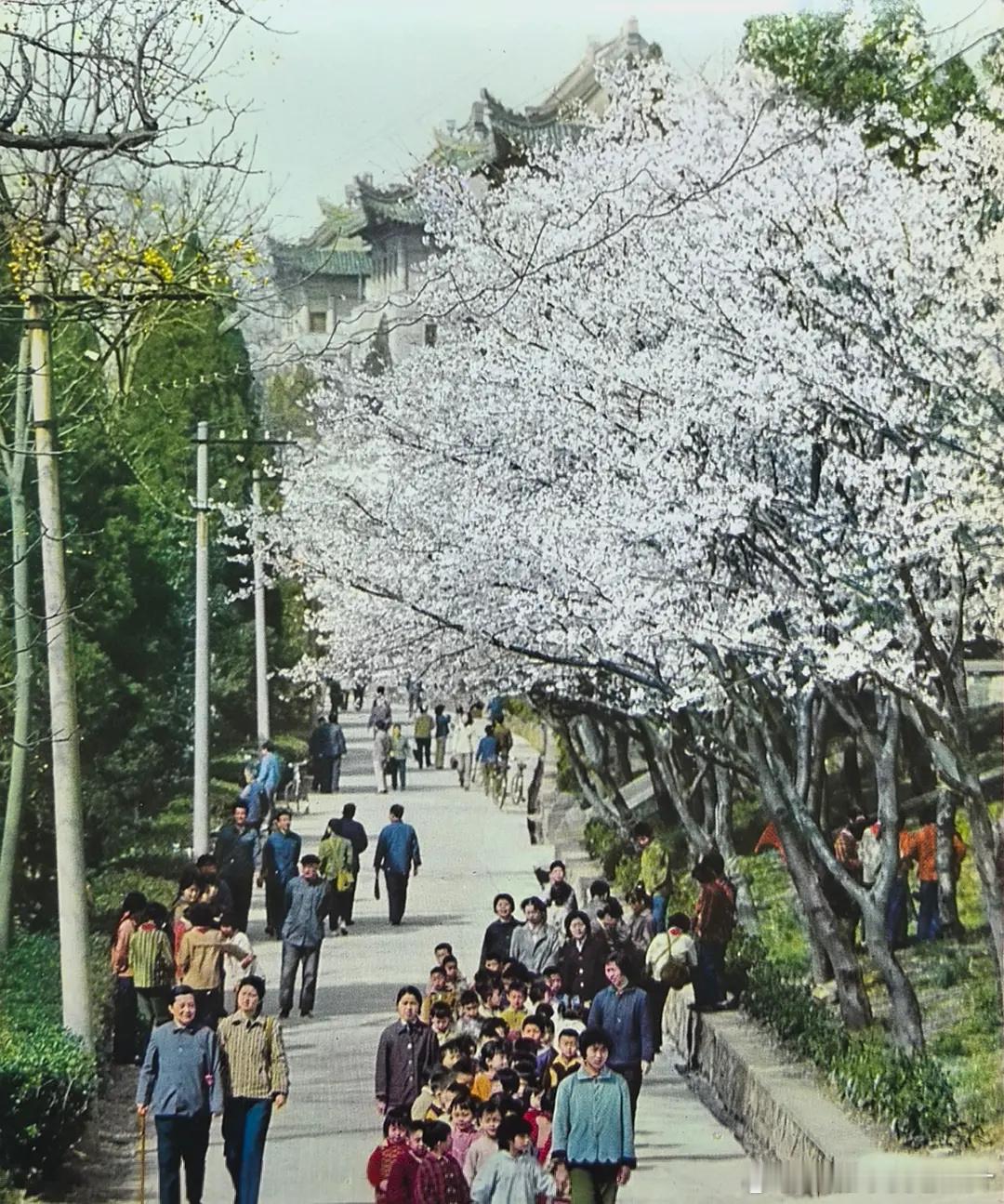 1982年的武汉大学