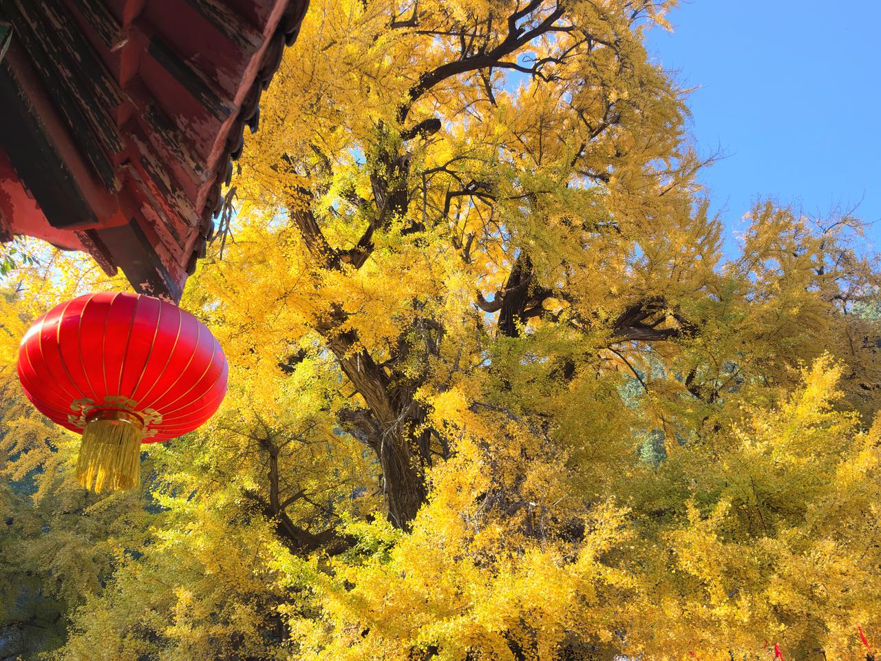 天津人心心念念的暖气终于要来了！今天（11月7日）12时04分，我们已经迎来二十