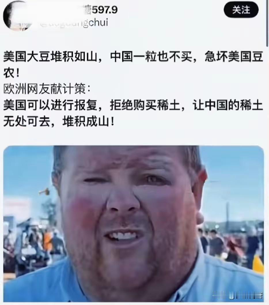 欧洲人给老美出了个主意，中国拒绝进口你们的大豆？你们也拒绝进口他们的稀土，让他们