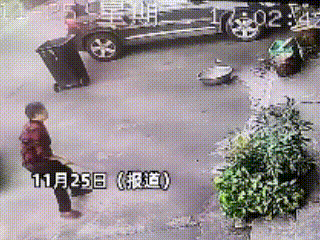 笑不活了！广东广州，店主陈先生出门办事，留自家小狗阿财守店，结果一位老奶奶想拿走