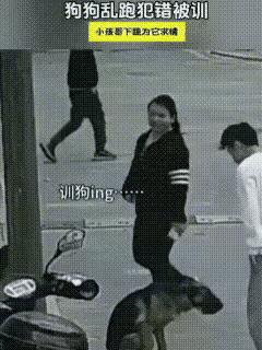 清晨散步时，母子俩看到路边男子正在训狗。狗狗耳朵紧贴脑袋，蹲在地上垂着脑袋，还怯