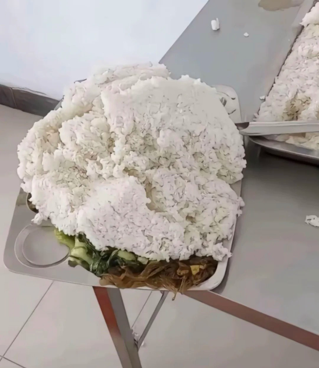我去...原来信息茧房这么恐怖...