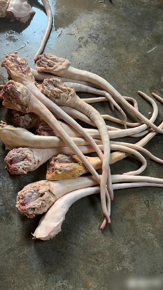 奉劝大家，要舍得吃这18种食物：1、牛尾。奉劝大家，过日子以后才明白，很多人不是