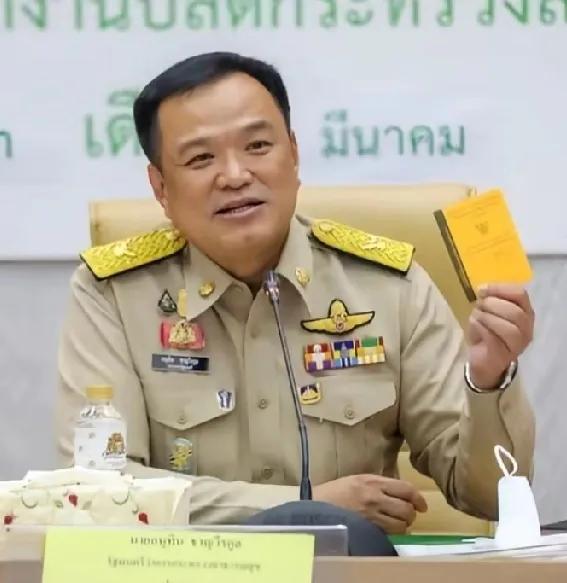 阿努廷赢得大选，柬埔寨洪森才真慌了，本想着把佩通坦整下台，就能让泰国内乱，谁知选