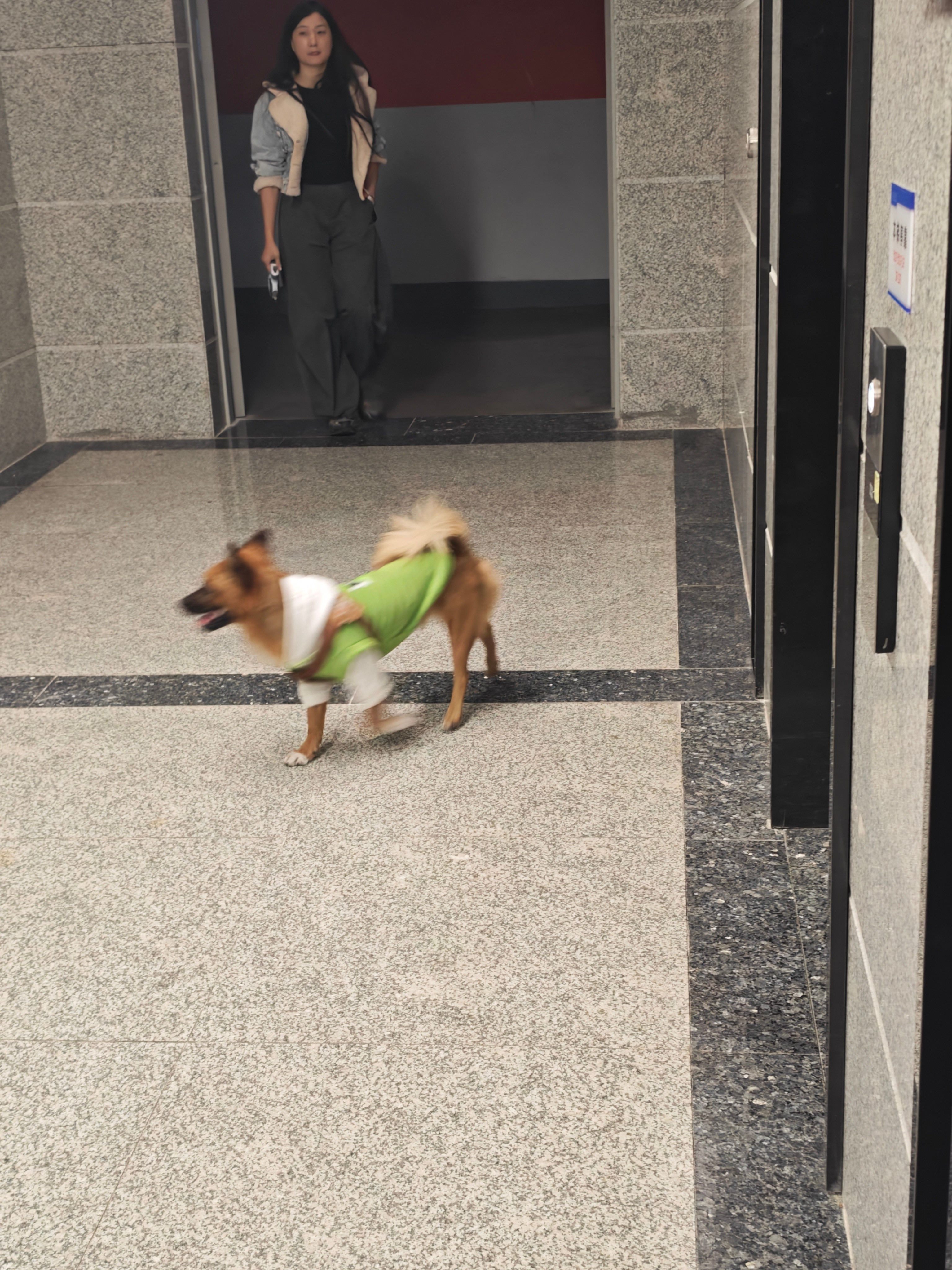 我发现养狗不牵绳的，都对自己家狗有一种迷之自信，觉得自己家狗情绪稳定，特别温顺，