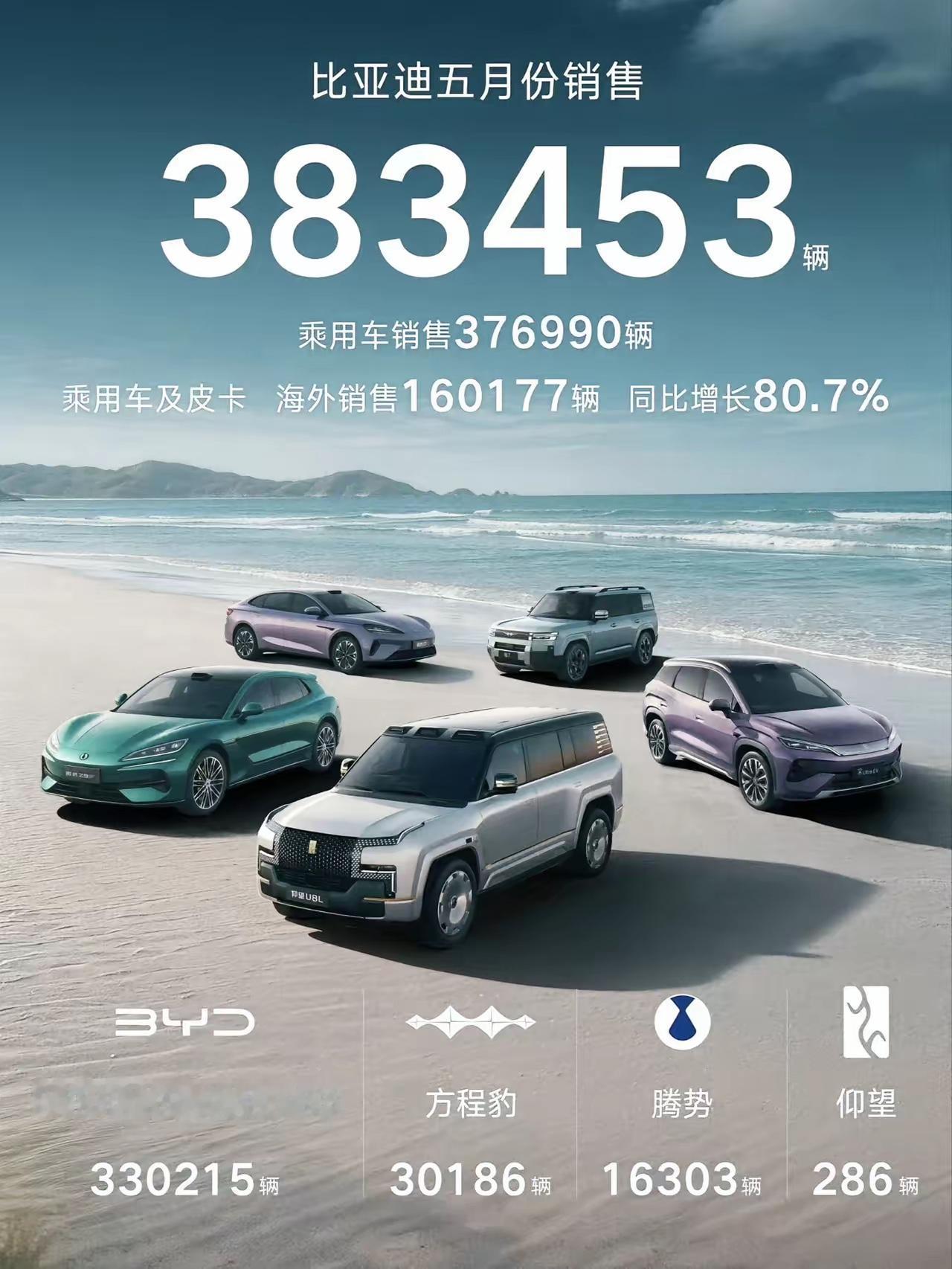 比亚迪这哪是公布销量，完全是公布的绝望。5月383453辆出来后，喜不喜欢比亚迪