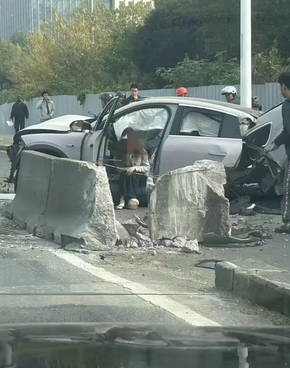 蔚来还行，起码车主看着没什么事。车断了也正常，估摸着侧面剪切力太大了。不太懂这些