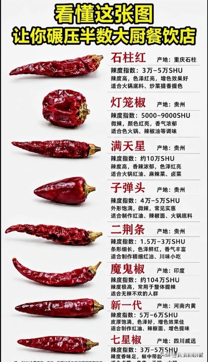 一口辨川湘：揭秘两大菜系的本质差异总以为川菜和湘菜就是一个“辣”字能概括？大错