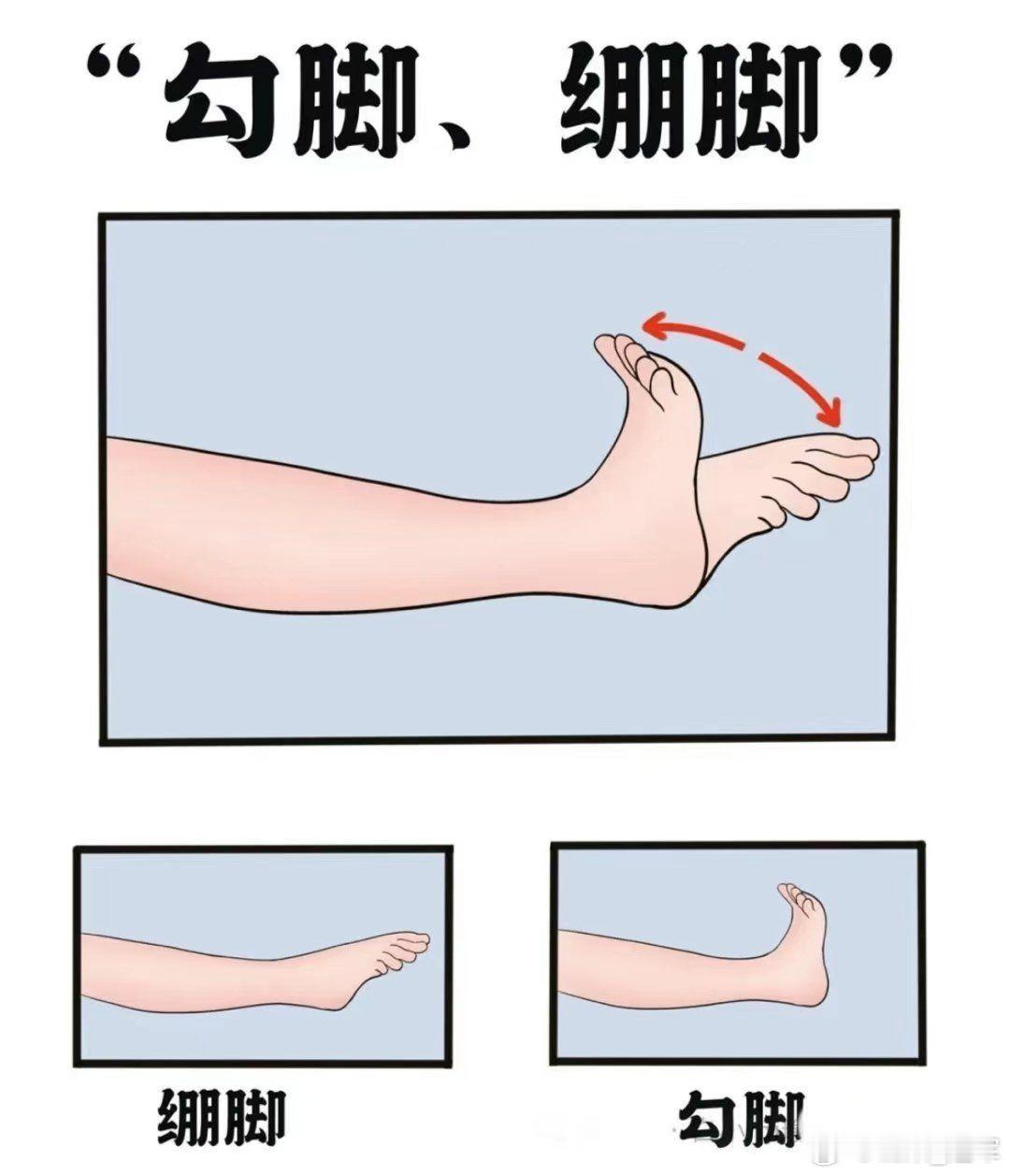 儿推长高小妙招｜勾脚+崩脚🏃♂️✨每天5-10分钟，助生长、强筋骨！孩子长得