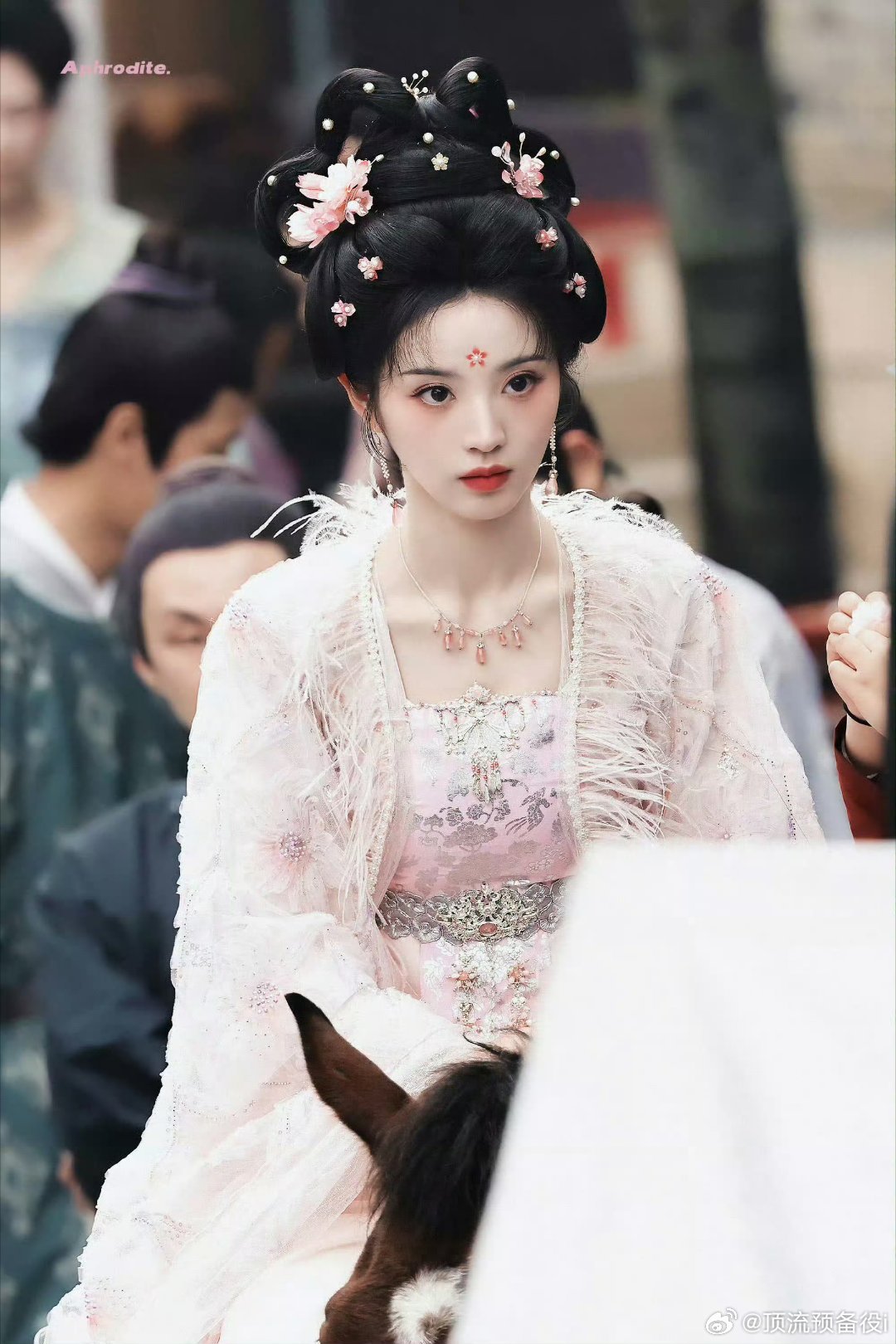 田曦薇抖上猫猫美出圈了​​​美貌是第一生产力说的没错​​​