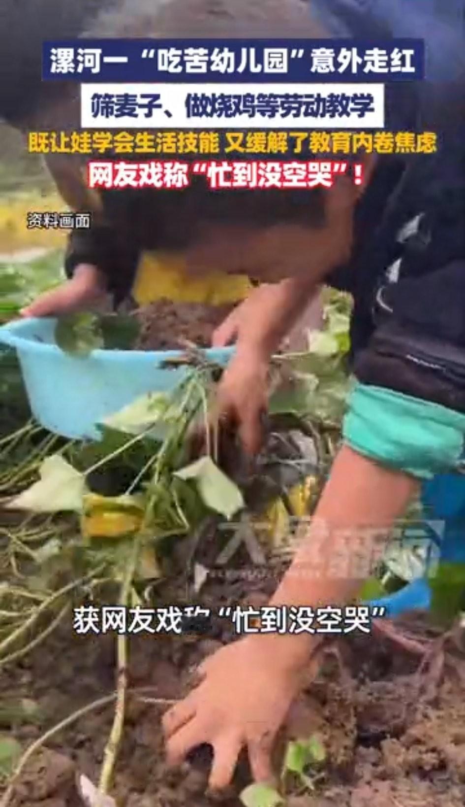 河南一所“吃苦幼儿园”最近彻底火了！四五岁的娃娃们，不在教室里唱歌跳舞，反倒