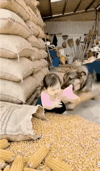 好有灵性的狗狗呀，必须安排大鸡腿！这一幕真的看得我心都揪起来了！小丫头片子正蹲