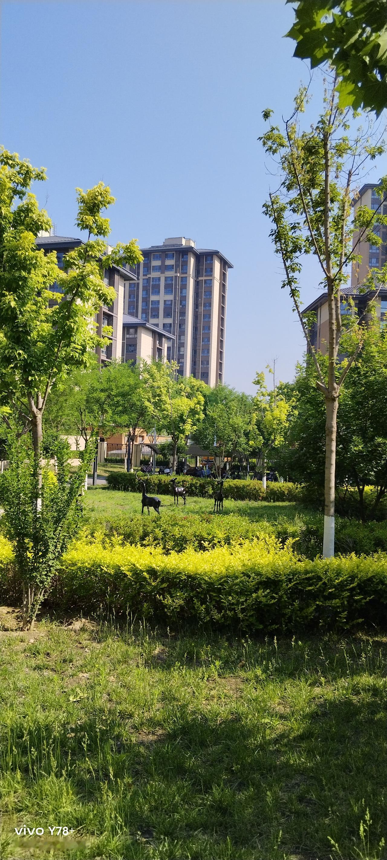 今天回老家拜年，看70岁的堂哥的背比去年更驼了，腰也比去年更弯了。堂哥有一儿一