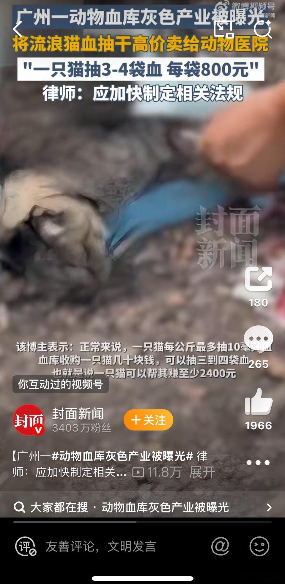 动物血库抽流浪猫血狗生病要输血，就找那种猛犬，很大很威武的那种狗，皮糙肉厚的。