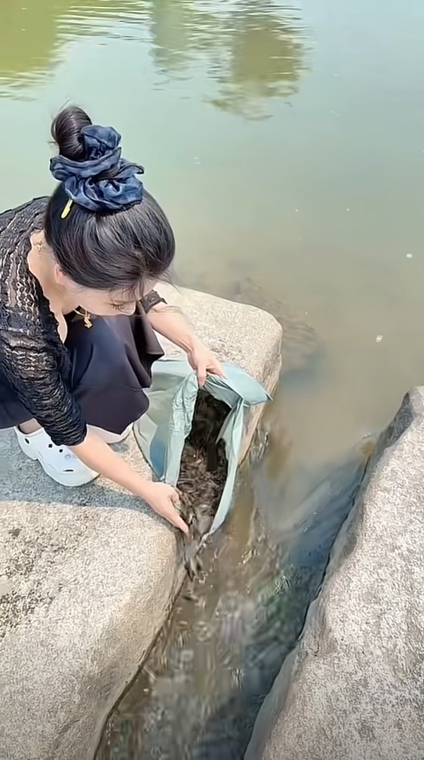 配小姨来放生了，真的人美心善
