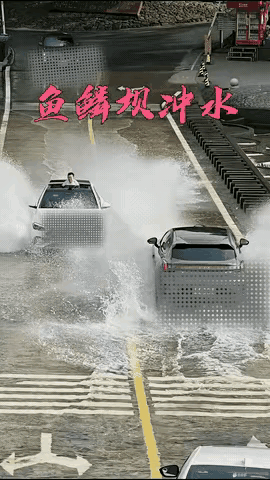 就好像谁不会踩油门似的