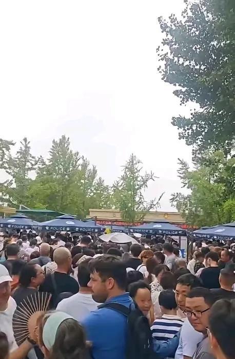 学生都放暑假了，正好这几天也没有什么课外班的课了，所以我儿子儿媳就说带孩子去一趟