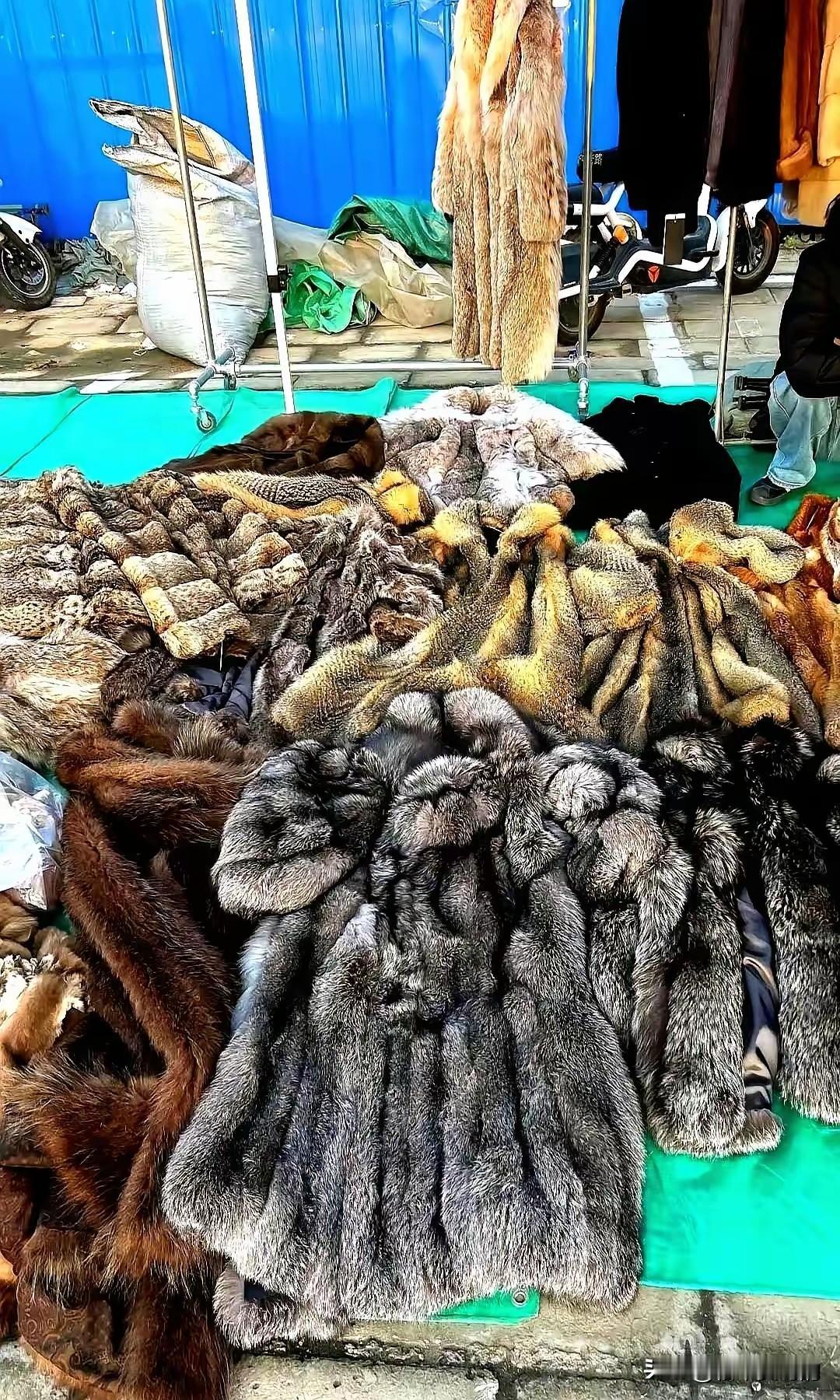 海宁的貂皮大衣60%的销量雪崩,根本卖不动实体店铺都快空了,很多商家直接把貂皮裁