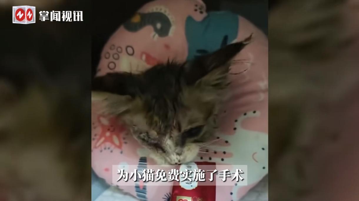 这下出名了，不仅山东网友知道了，全国人民都知道了！9月30日，山东，一位老人捡到