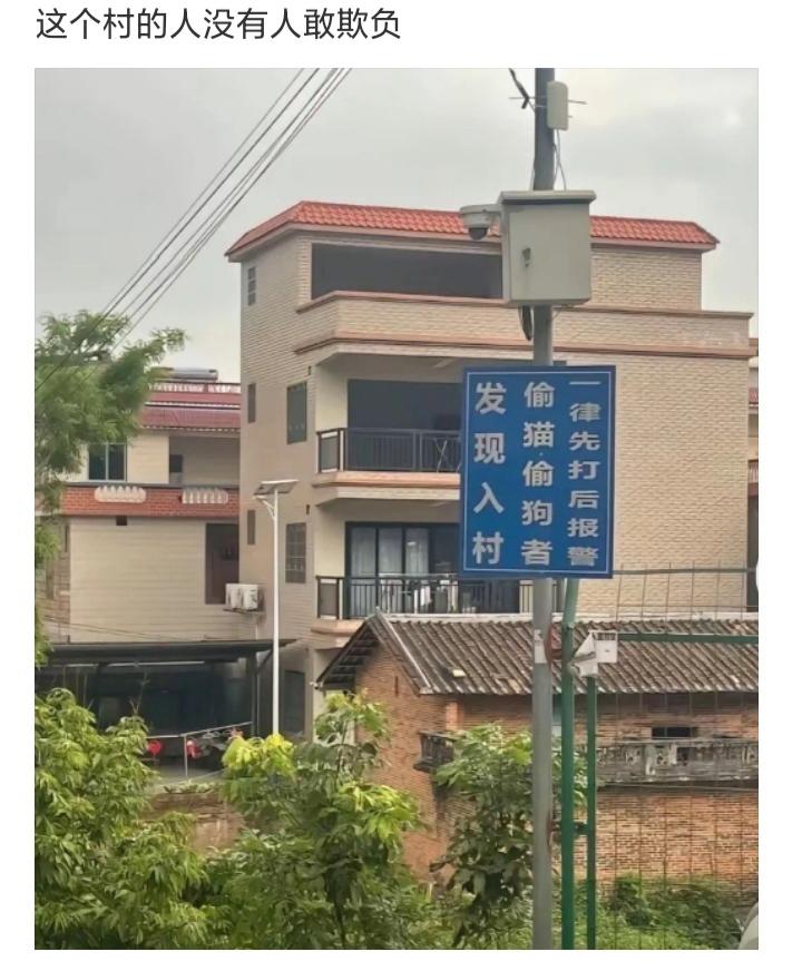 这个村的人没人敢欺负