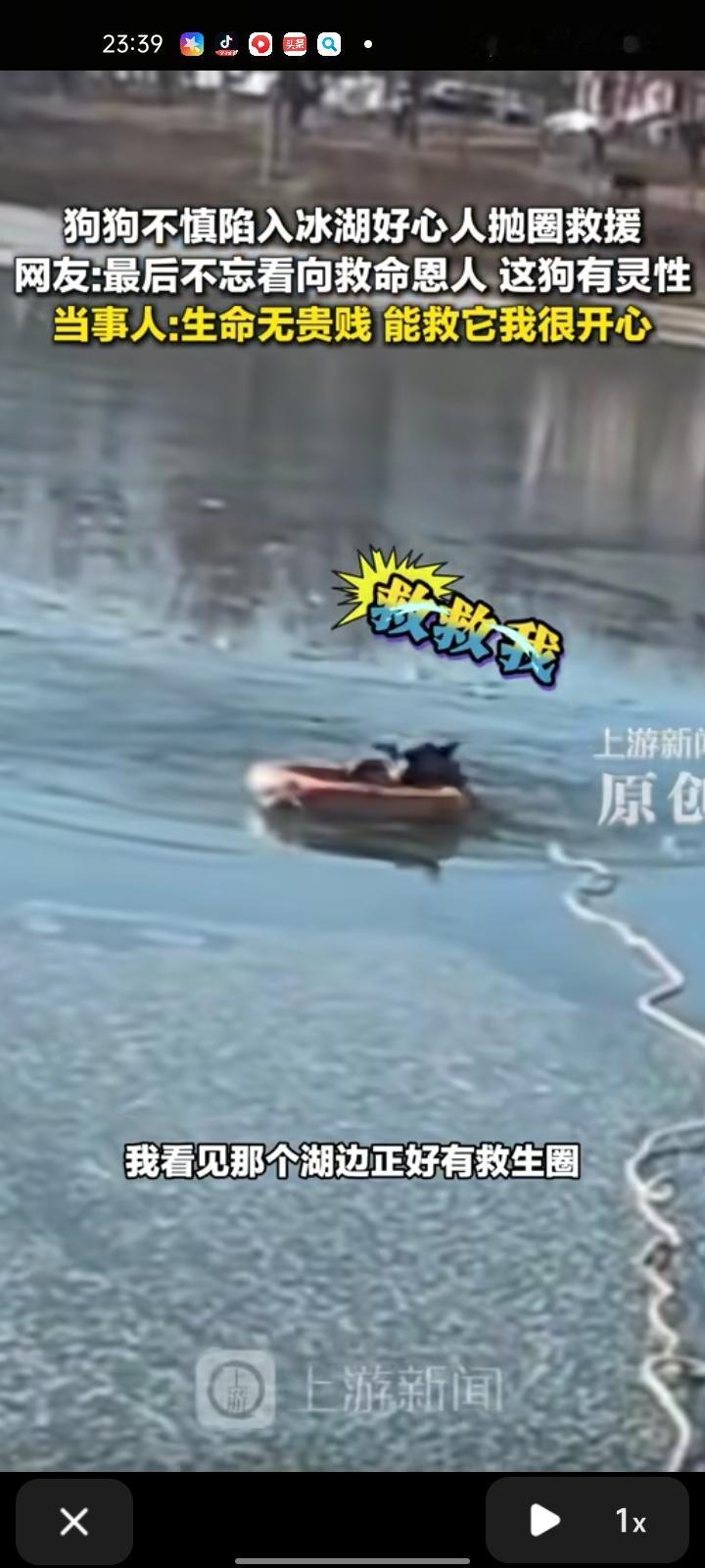 12月13日，甘肃兰州。男子在湖边散步，狗子突然跑向冰湖不慎陷入水中，本以为狗子