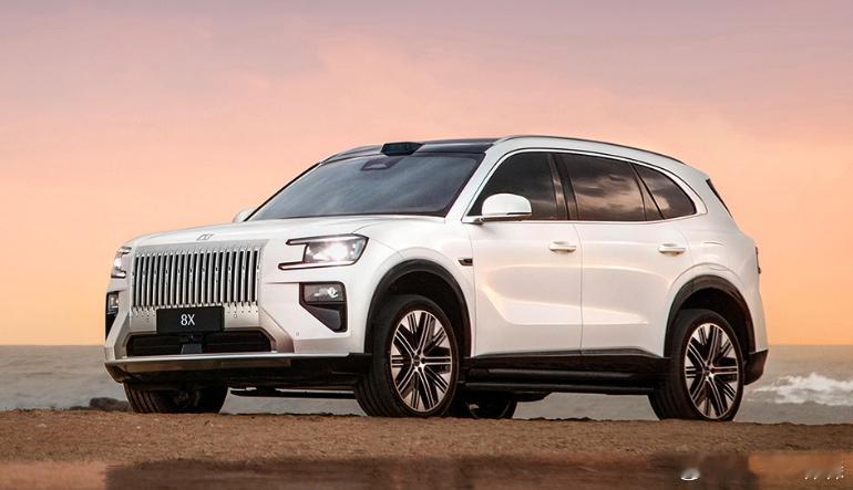 🔻极氪8X用的依然是宁德时代的电池，果不其然，意料之中。🔻好些年前我在前前司