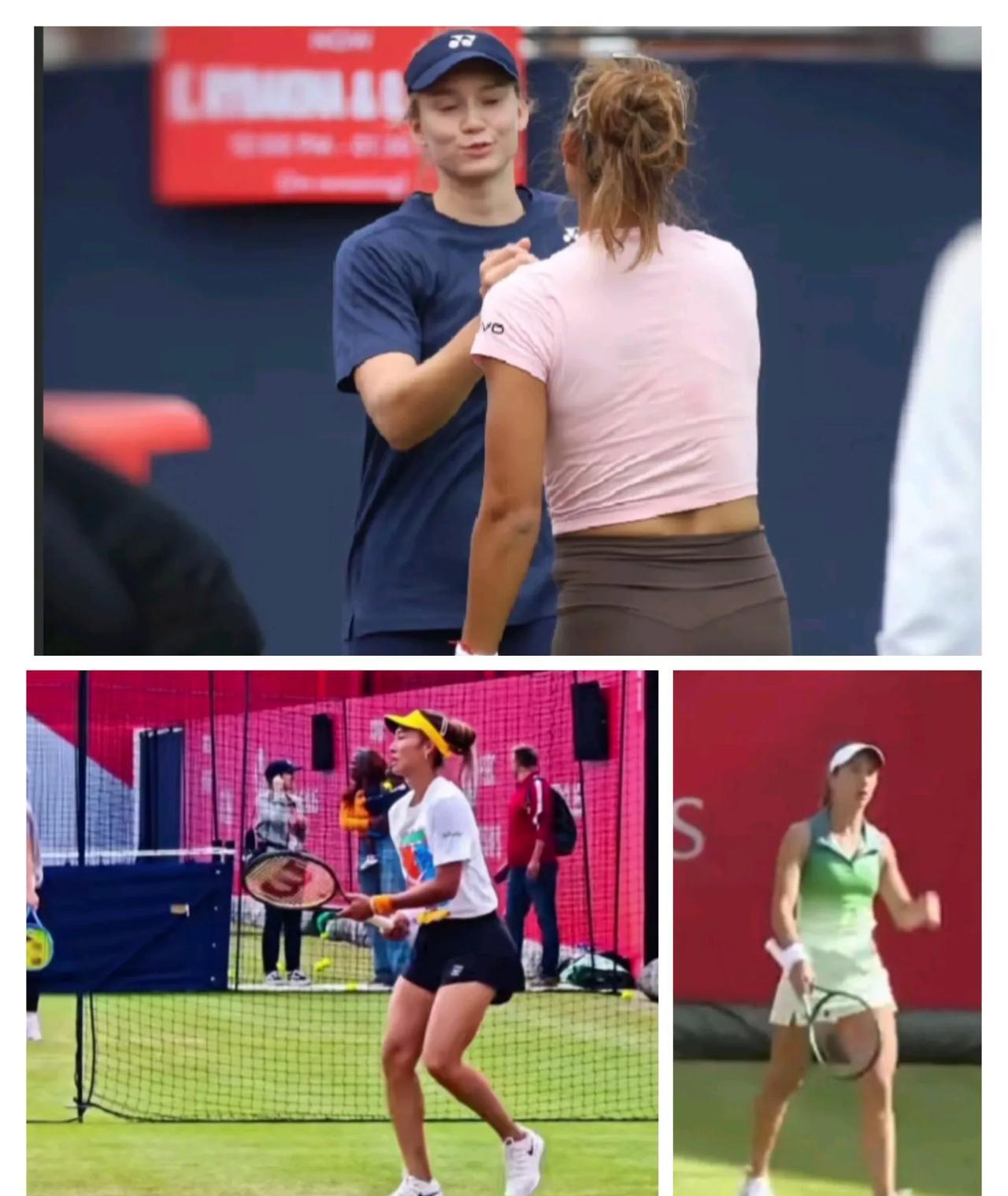2025我的网球生活25女王杯草地赛，女子500赛今年重新回到女王杯