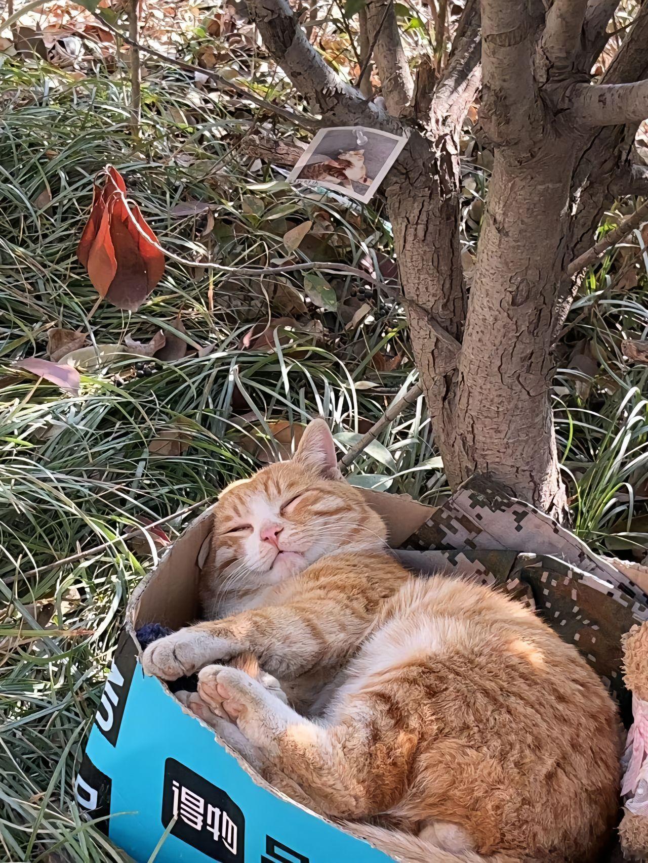 学校里的团宠咪咪学长🤩​​​